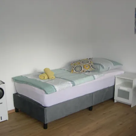 Zv-scholtz Burghausen, Regerstr.37 P7-5 펜션 *